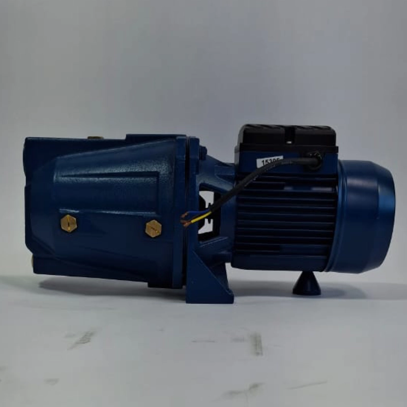 پمپ جتی یک اسب راشین مدل  00/CAM 100