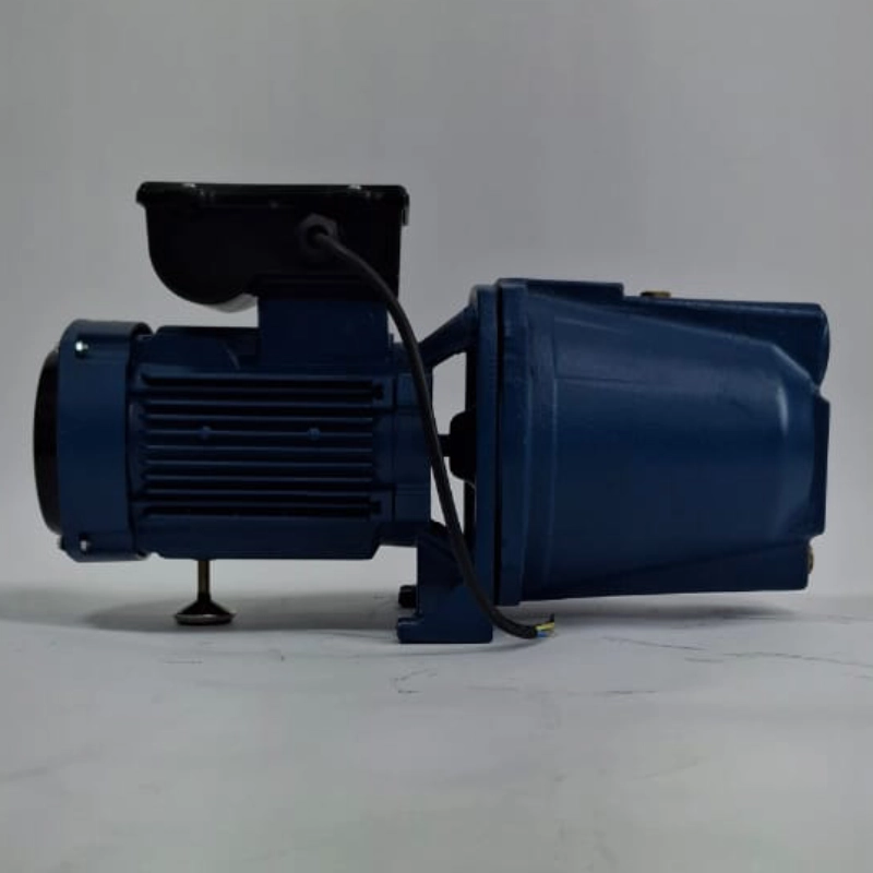 پمپ یک اسب جتی موتوژن مدل CAM 100